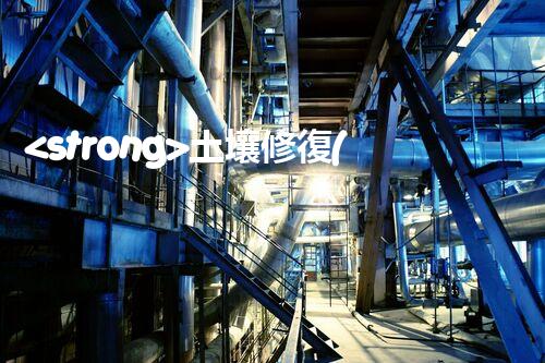 <strong>土壤修復(fù),危廢資源化龍頭危險(xiǎn)廢棄物處理的專業(yè)之道：安全高效的施工技術(shù)</strong>